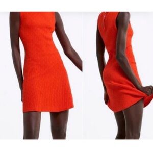NWT knit Zara dress with jewel buttons